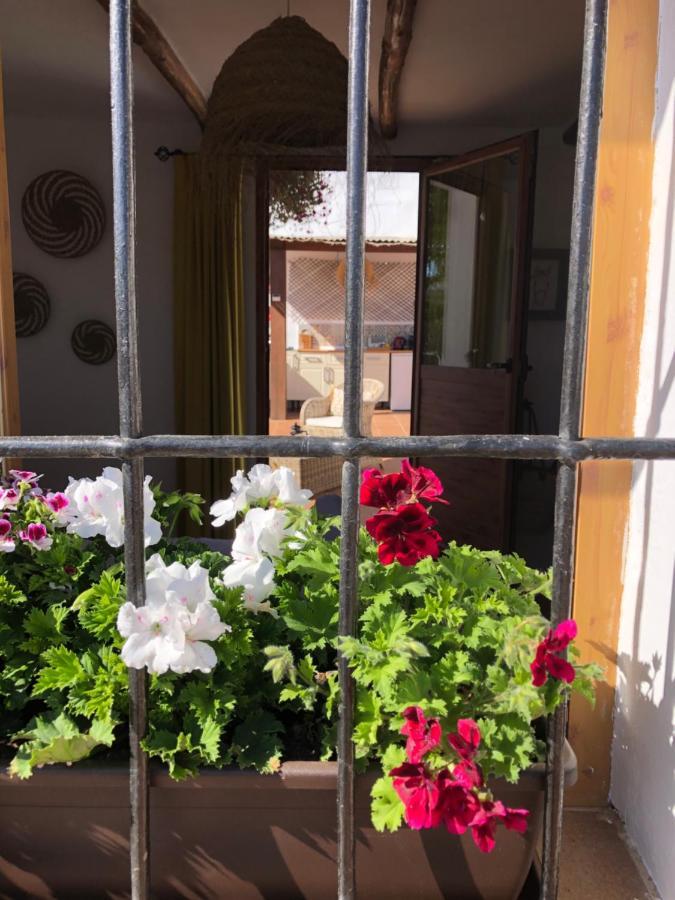 Casa La Alegria 37 Bed & Breakfast Villanueva de Tapia Exterior foto