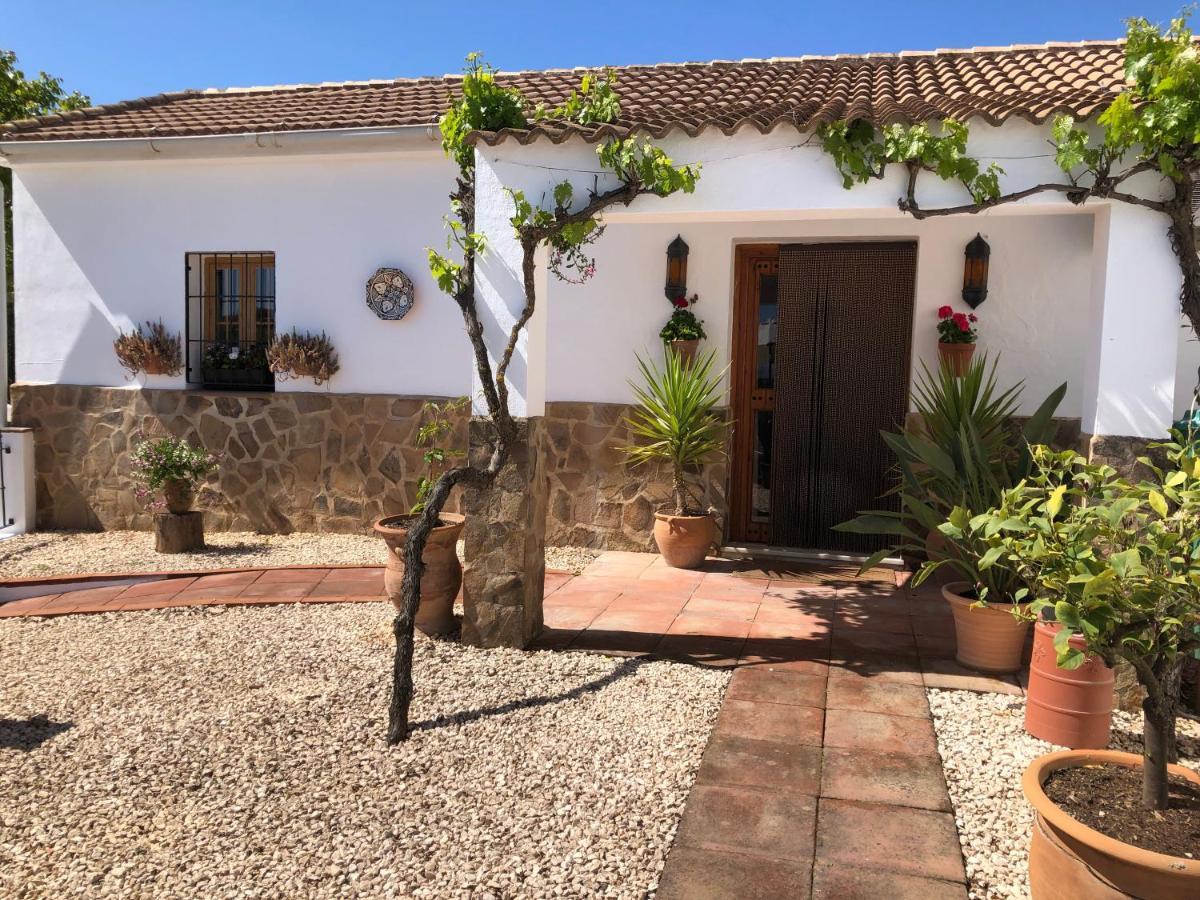 Casa La Alegria 37 Bed & Breakfast Villanueva de Tapia Exterior foto